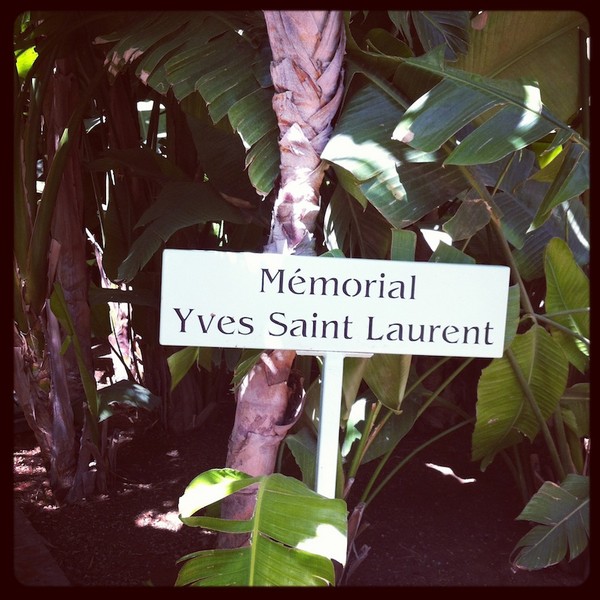 Jardin Majorelle